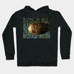 Golden Nut Shell Hoodie